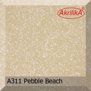 a311 pebble beach.jpg