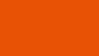 orange300.jpg